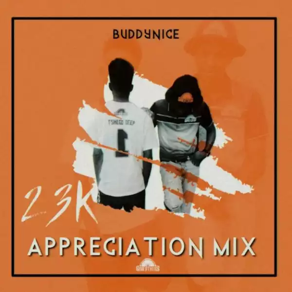 Buddynice - 23K Appreciation Mix (Redemial Sounds)